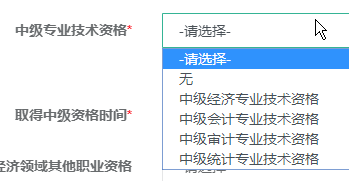 2020年高级经济师考试正确填写报名信息的流程11