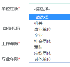 2020年高级经济师考试正确填写报名信息的流程20